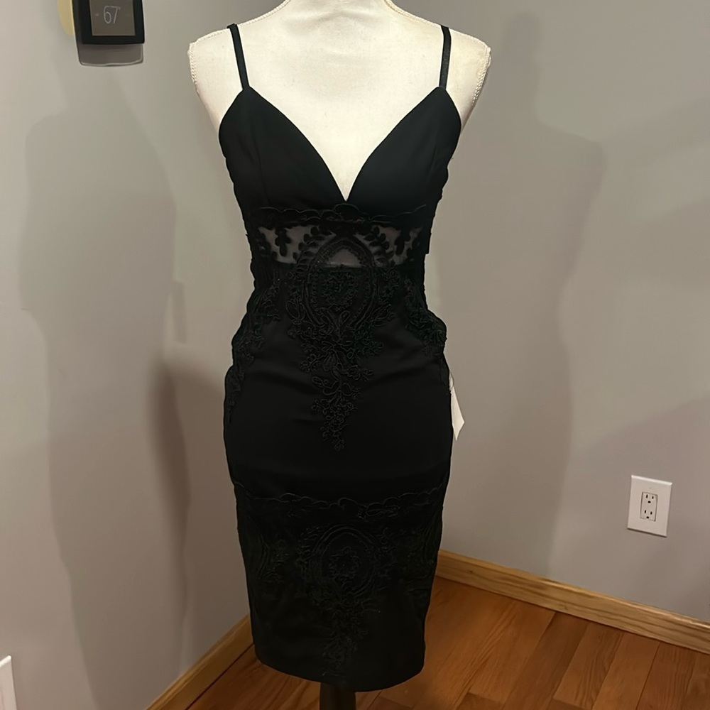 Lulu's Black Lace See Through Bodycon Dress
